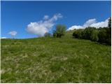 Planina Kuhinja - Planica pod Krnom